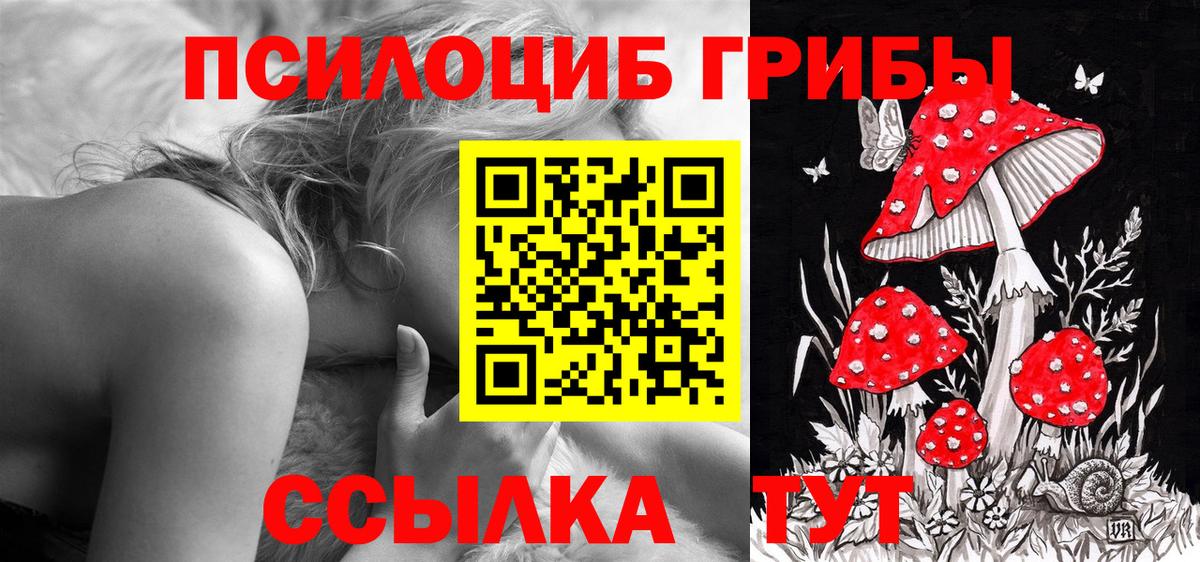 Псилоцибиновые грибы Cubensis Партизанск